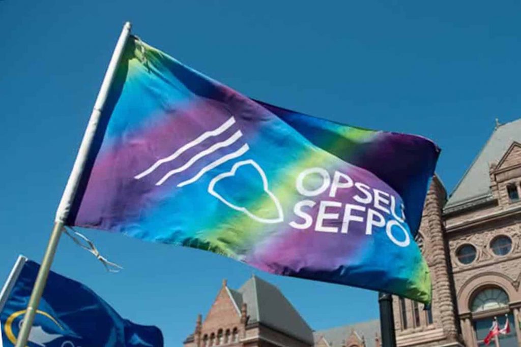 OPSEU SEFPO Flag